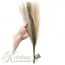 Pampasgräs Ivory, Mocca, Stone Grey 50 cm 3 st Oasis Floristtillbehör