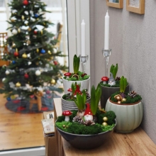 Flugsvampar och mossa 20-30 mm 10 st Halloweenpyssel Höstpyssel