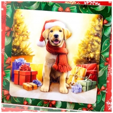 3D Motiv Julkort - 8 ark - Santa Paws by Katy Sue Designs