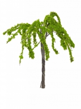 Miniatyr Träd Vide - Höjd: 6 cm