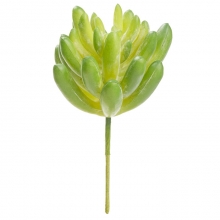 Miniatyr Konstgjord Växt Sedum pachyphyllum 10 cm Grön Träd Växter Miniatyrer