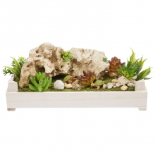 Miniatyr Konstgjord Växt Sedum pachyphyllum 10 cm Grön Träd Växter Miniatyrer