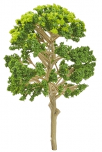 Miniatyr Träd 12 cm Grön Växter Miniatyrer