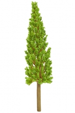 Miniatyr Träd Cypress 14 cm Grön Växter Miniatyrer