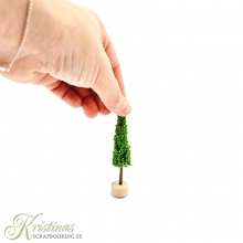 Miniatyr Träd - Cypress - 8 cm