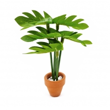 Miniatyr Växt Monstera i terrakottakruka 9 cm
