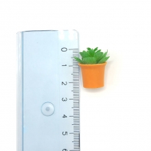 Sukkulent i miniatyrformat med en fin brun kruka.