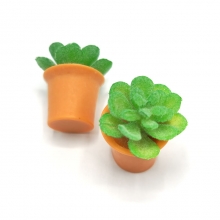 Sukkulent i miniatyrformat med en fin brun kruka.