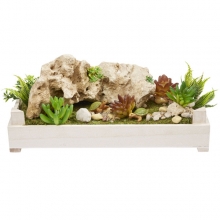 Miniatyr buske Höjd 5 cm st Träd Växter Miniatyrer