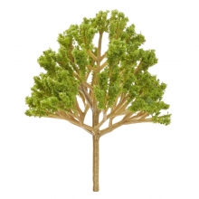 Miniatyr Träd - 8 cm - Grön