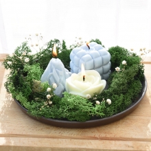Grön mossa, äkta Islandsmossa, florist, julgrupp, blomstergrupp med mossa