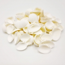 Snäckor i påse Sea Shell White 250 gr till scrapbooking, pyssel och hobby