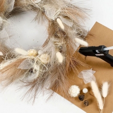 Harsvans-gräs Lagurus - L: 3-7 cm - 6 st