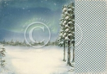 Papper Pion Wintertime in Swedish Lapland Northern Lights Design