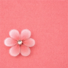 Nylon Blomma Laxrosa Tyg Textil Stocking Strumpbyxor