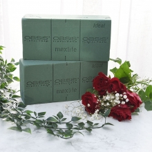 Oasis Storpack 23x11x8 cm 20 st Floristtillbehör