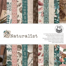 Paper Pad 6x6 - P13 - Naturalist