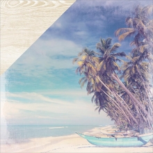 Papper Kaisercraft Coastal Escape Palms Scrapbooking