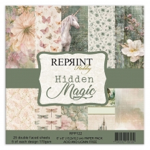 Paper Pad 6x6 - Hidden Magic - Reprint