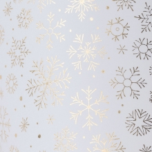 Transparent Papper A4 - 10 ark - Vellum Christmas Stars Metallic
