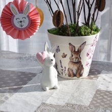 Mossa - Äkta Islandsmossa - 20 g - Ljusgrön