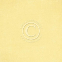 Cardstock Pion Palette - Yellow I