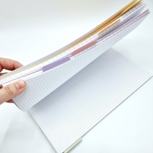 Skrivblock 5-Ämnesblock A4 - I Have Plans - 150 sidor