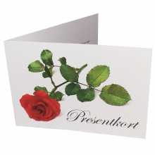 Presentkort & Kuvert med Rosor - 10 st