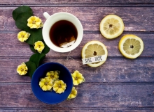 Pappersblommor pappersrosor Prima Flowers with Beads & Flocking Tropicalia Student Konfirmation