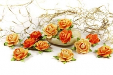 Prima Poppyfield Fairytale Roses Pappersblommor