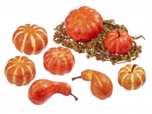 Pumpor och Mossa - Orange - 3,5-5 cm - 8 st