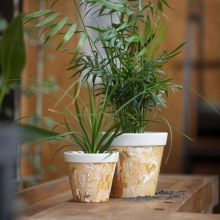 Akrylfärg Plus Color - Hobbyfärg 60 ml - Beige