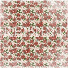 Papper Reprint - Christmas Time - Poinsettia