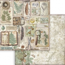Paper Pad 12x12 Stamperia - Herbarium Silvae