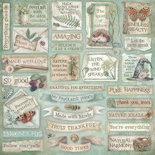 Paper Pad 12x12 Stamperia - Herbarium Silvae