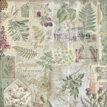 Paper Pad Stamperia 12x12 Tum - Maxi Background Herbarium Silvae