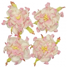 Pappersblommor Gardenia 50 mm White Pink 4 st Pappersrosor