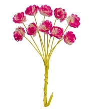 Pappersblommor Chrysanthemum - 10 mm - Hot Pink - 10 st