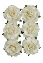 Mulberry Rose Jubilee - 30 mm - White - 6 st