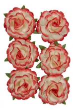 Mulberry Rose Jubilee - 30 mm - White Red - 6 st