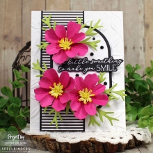 Dies Spellbinder Cosmos - Summer Solstice Garden - 6 dies