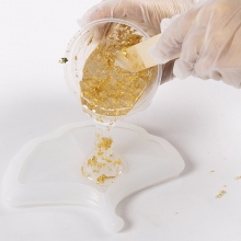 Silikonform - Gingkoblad - 18×14 cm