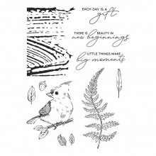 Clearstamps - Woodland Tales Sentiments - Spellbinder