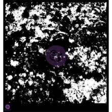 Schablon 12”x12” Prima Mask Stain Stencil