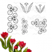Stämpelset - Tulip Time - Heartfelt Creations