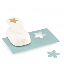 Stans Vaessen - Jumbo Punch - Flower Fleur