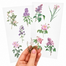 Clear Stickers - Acetate Pink And Violet Flowers - 10 st