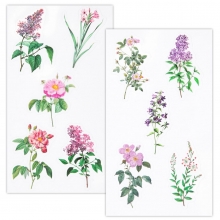 Clear Stickers - Acetate Pink And Violet Flowers - 10 st