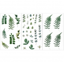 Stickers Växter - 3 ark - 38 st - Ormbunke, Eucalyptus, Gröna Blad