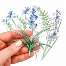 Die Cuts Clear - Acetate Lovely Iris - 12 st
